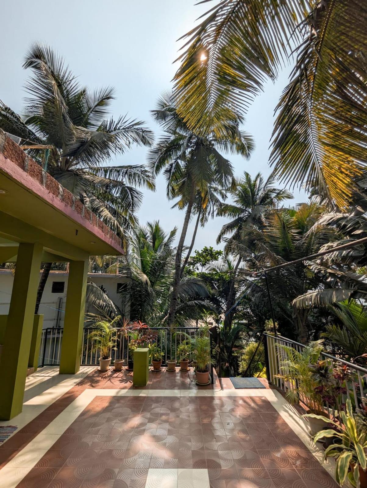 Luciano Guest House アランボル エクステリア 写真